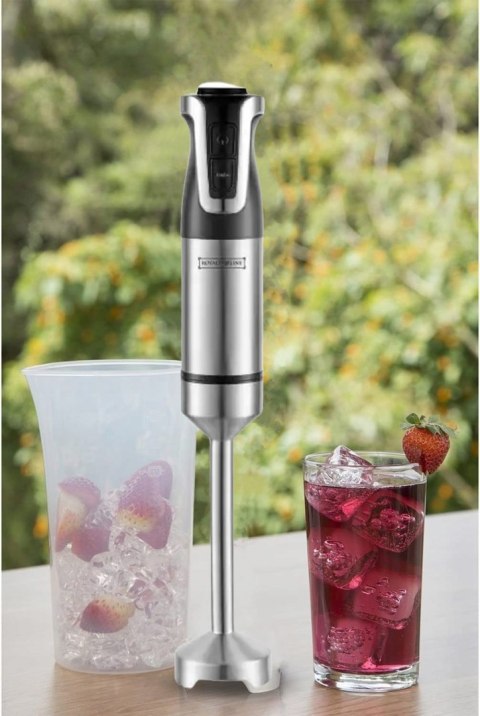 Blender ręczny Royalty Line ESTM-800.743.2 800 W srebrny/szary